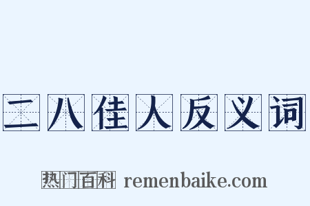 二八佳人反义词是什么意思的图片